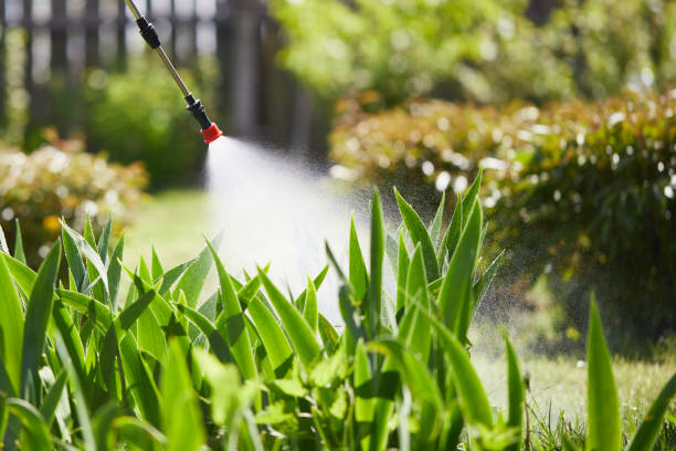 24/7 Emergency Ant Control experts in Okanogan, WA