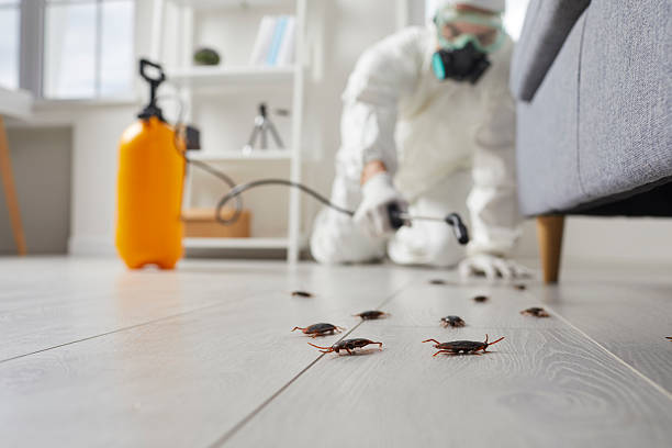Trusted Cockroach Control service in Okanogan, WA - Nex Pest Control